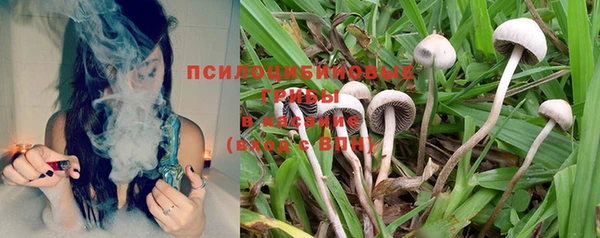 стаф Нягань
