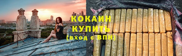 твердый Няндома