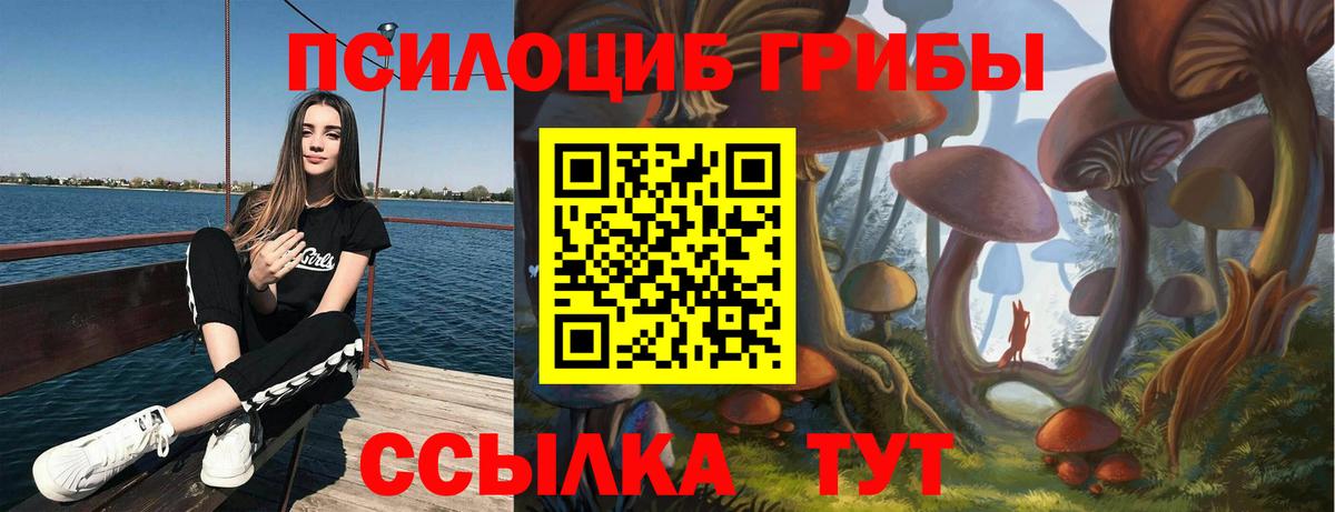 Псилоцибиновые грибы MAGIC MUSHROOMS Саки