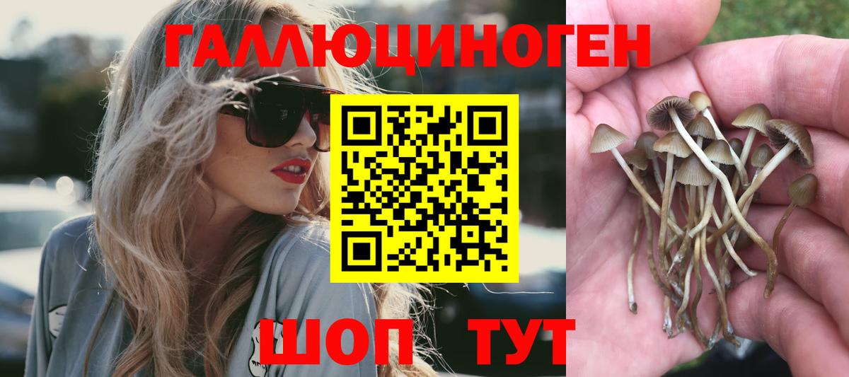 Саки  Псилоцибиновые грибы Magic Shrooms  Вход с VPN 