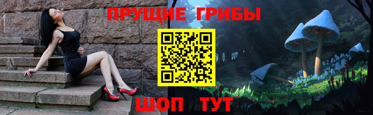 Галлюциногенные грибы мухоморы  Саки  Псилоцибиновые грибы GOLDEN TEACHER 