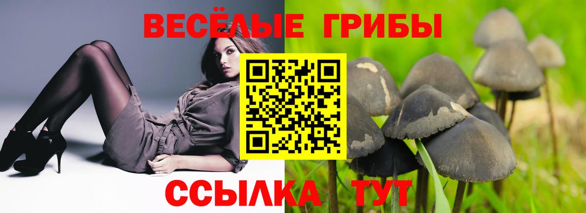 Псилоцибиновые грибы прущие грибы Саки